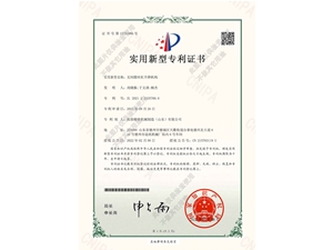 無(wú)間隙絲桿升降機(jī)構(gòu)專(zhuān)利證書(shū)